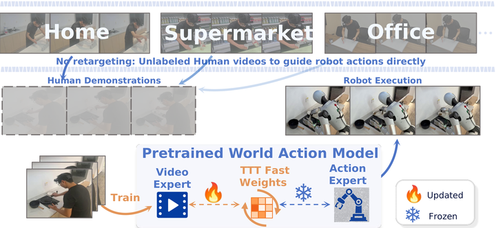 WAM-TTT: Steering World-Action Models by Watching Human Play at Test Time